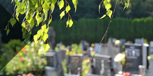 Hunsingore Cemetery News – Hunsingore, Great Ribston with Walshford & Cattal